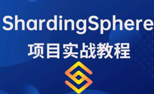 ShardingSphere教程-干货网