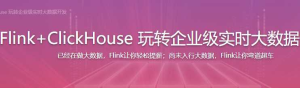 Flink+ClickHouse 玩转企业级实时大数据开发[完结]-干货网