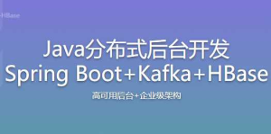 Java分布式后台开发 Spring Boot+Kafka+HBase-干货网