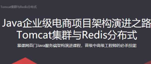 Java企业级电商项目架构演进之路 Tomcat集-干货网