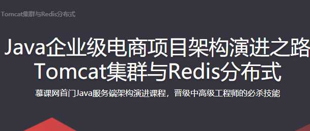  Java企业级电商项目架构演进之路 Tomcat集 - 干货网-干货网
