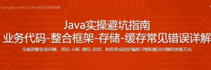 给Java开发者的实操避坑指南-干货网