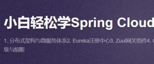 (价值88)小白轻松学Spring Cloud-51CTO-干货网