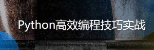 Python高效编程技巧实战-干货网