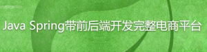 spring高效开发电商网站前后台-干货网