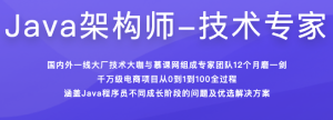 体系课_Java架构技术专家[完结]-干货网