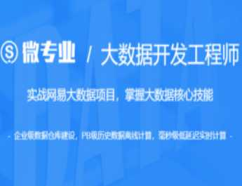 网易云微专业-大数据开发工程师价值14500元重磅首发课 - 干货网-干货网