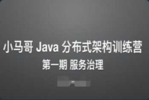 [Java架构] [特优资源] 小马哥 Java 分布式架构训练营 - 第一期 服务治理-干货网