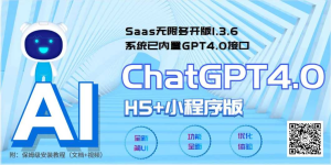 全网首发Saas无限多开版ChatGPT小程序+H5，系统已内置GPT4.0接...-干货网