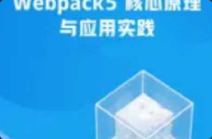 Webpack5 核心原理与应用实践-干货网