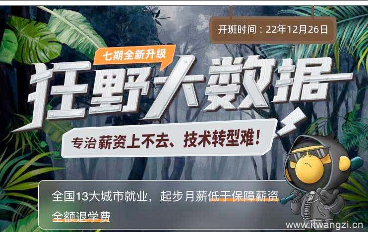 博学谷-狂野大数据（7期） - 干货网-干货网